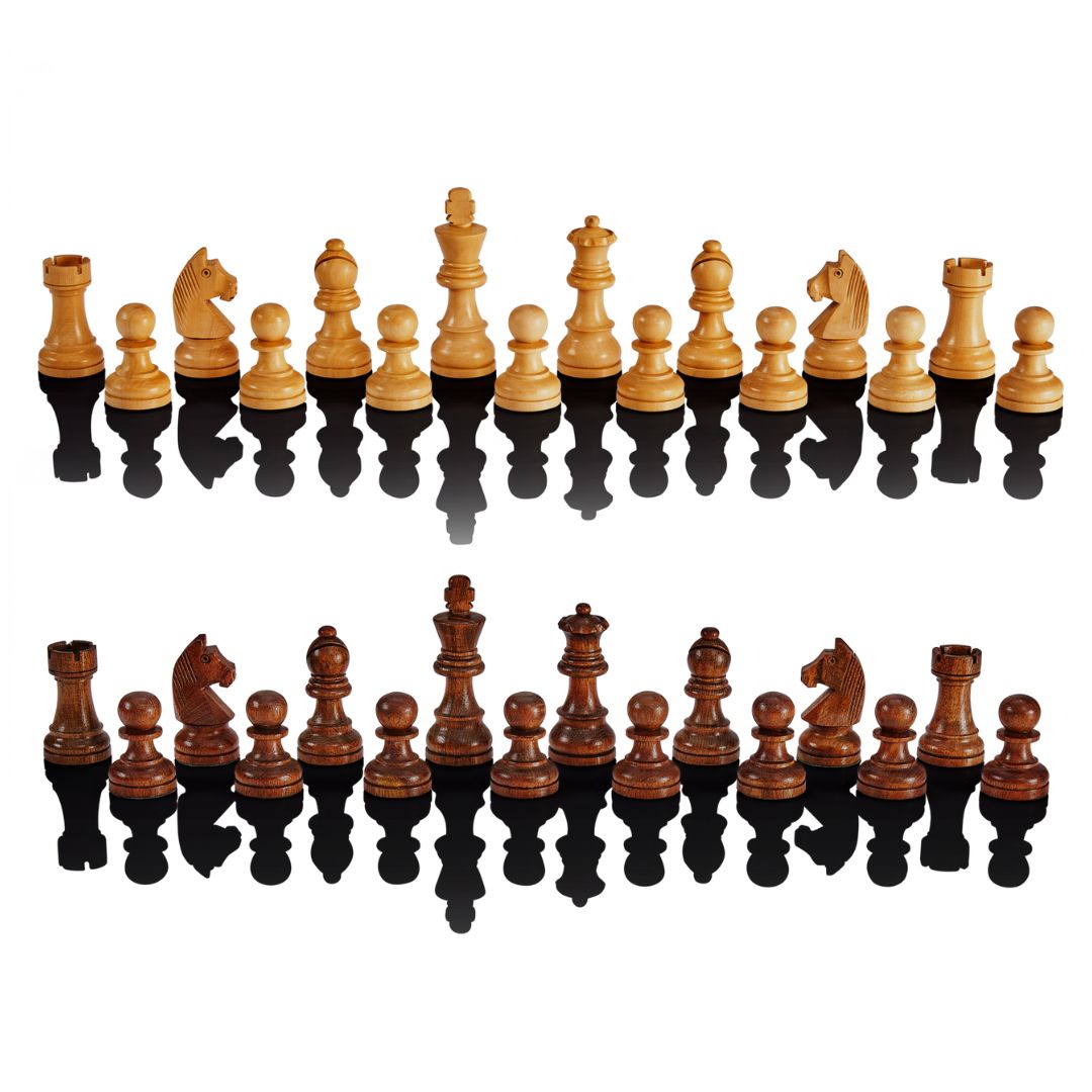 Millennium Chess Genius Exclusive Schackdator