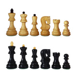 Queen's gambit schackpjäser som används i den sista scenen där Beth Harmon slår Borgov. Pjäserna kännetecknas av de färgade topparna på pjäserna.