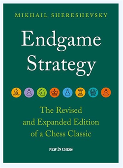 Endgame strategy - Mikhail Shereshevsky